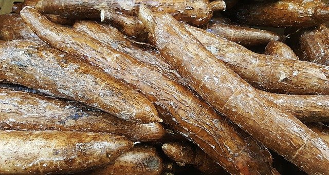 Where to buy fresh cassava in London